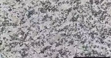 漳州 芙蓉白（芝麻白大花）火烧面