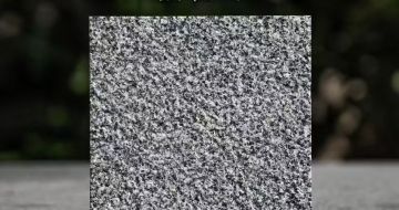 漳州 芝麻黑荔枝面