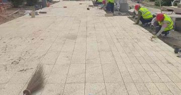 漳州黄金麻荔枝面地铺案例