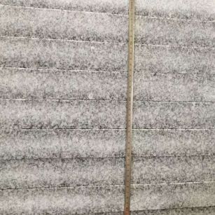 漳州 芝麻白成品厚薄均匀