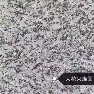 漳州 芙蓉白（芝麻白大花）火烧面