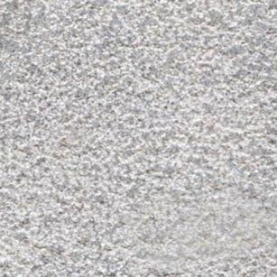 漳州芝麻灰荔枝面