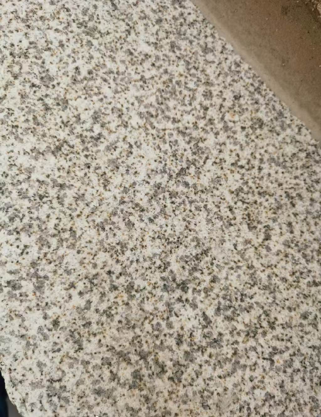 漳州 黄金麻中黄光面