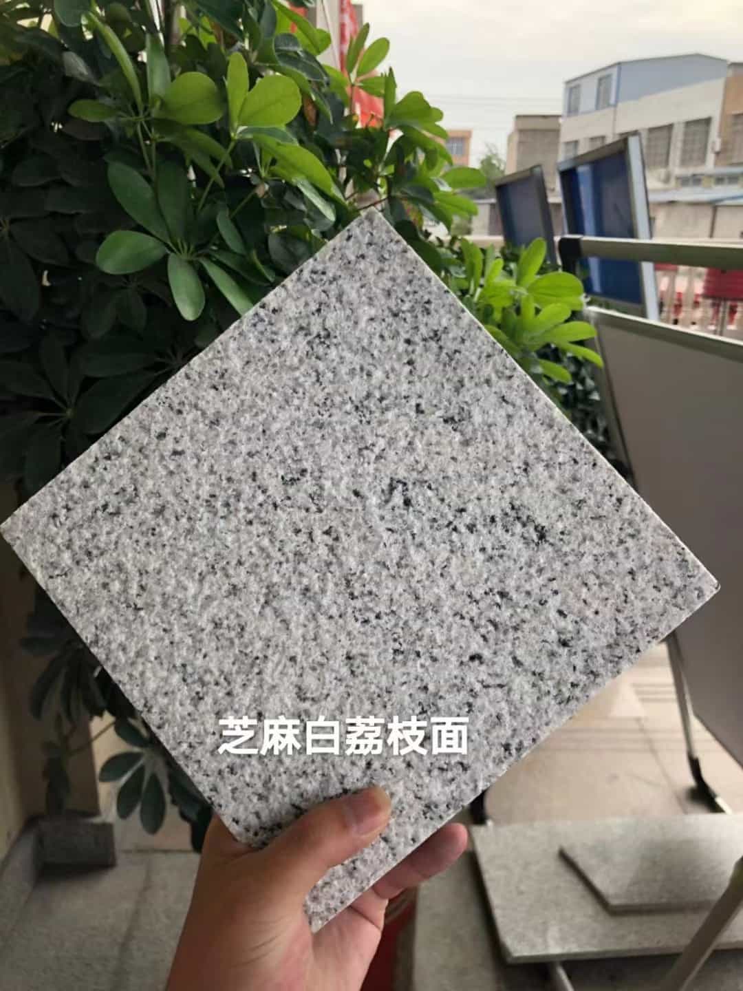 漳州 芝麻白荔枝面干挂