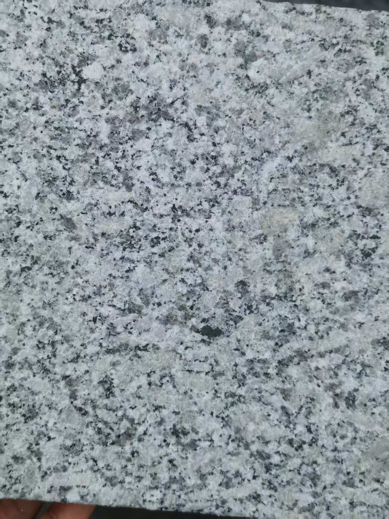 漳州 芙蓉白火烧面