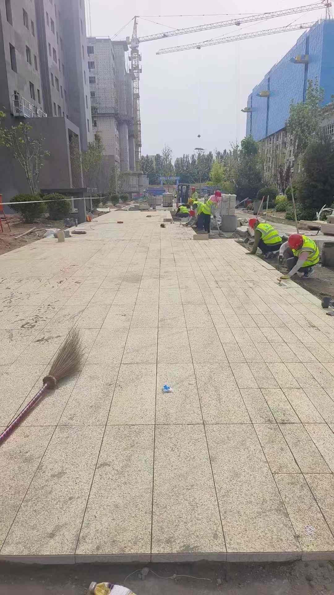 漳州黄金麻荔枝面地铺案例