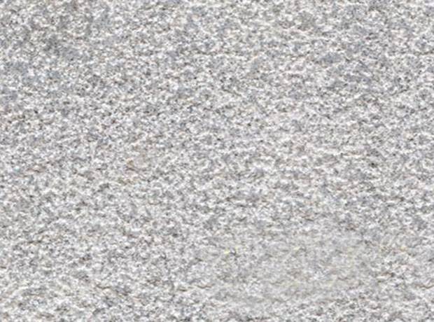 漳州芝麻灰荔枝面